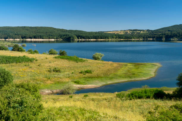 Summer landscape along the road to Camigliatello, Sila. Cecita lake stock photo