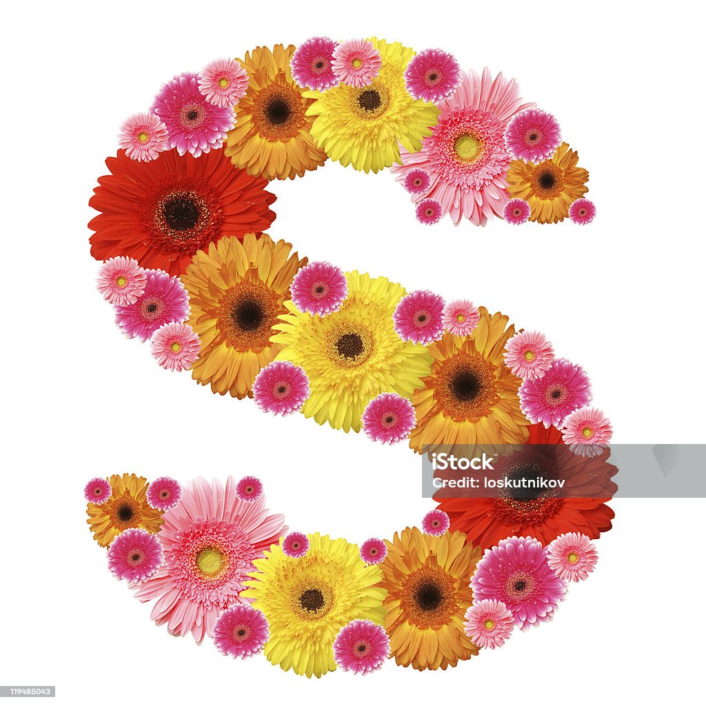The Letter S Formed Using Flowers Stock Photo - Download Image Now ...