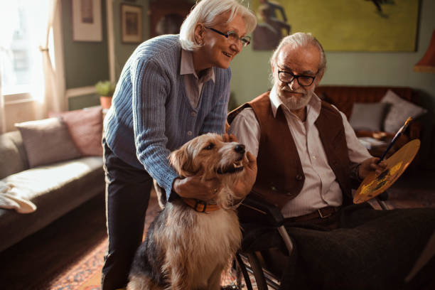 istock Senior Couple Painting 1194851559