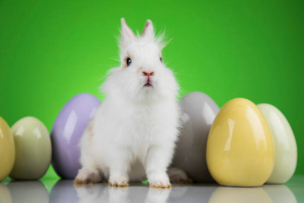 istock Little cute baby rabbit and easter eggs 1194851736