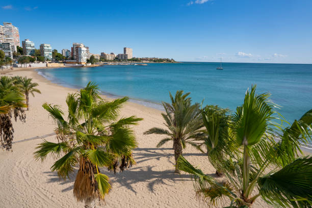 istock Playa Albufereta Beach in Alicante Spain 1194852681