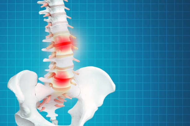 istock Realistic skeletal human spine and vertebral column or intervertebral discs on a dark background. Lower back pain. Vertebral column in glowing highlight as a medical health care concept. 1194852850
