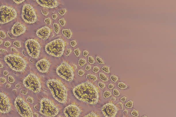 istock Human Virus, flu, view of a virus under a microscope, Viral disease outbreak. Infectious disease. 3d rendering 1194852851