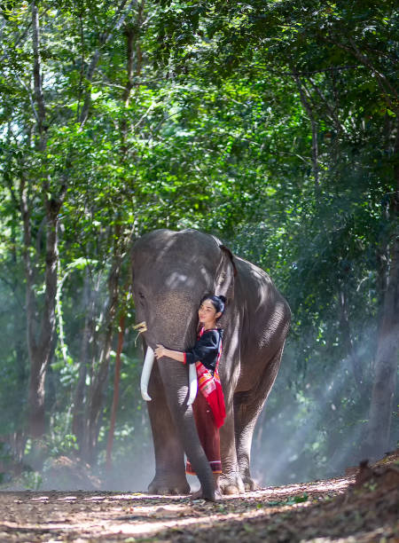 istock Young Woman Embracing Elephant While Standing In Forest 1194856051