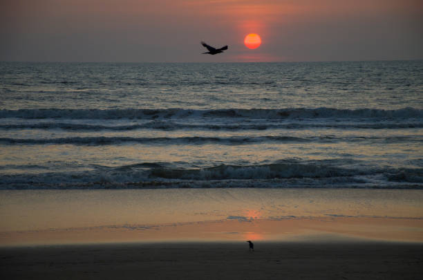 coucher du soleil tropical de paysage beau en asie - 30061 photos et images de collection