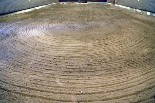 istock View in an indoor riding hall for horses and riders 1194861696
