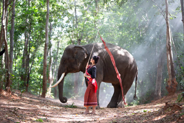 istock Young Woman Standing Against Elephant In Forest 1194861830