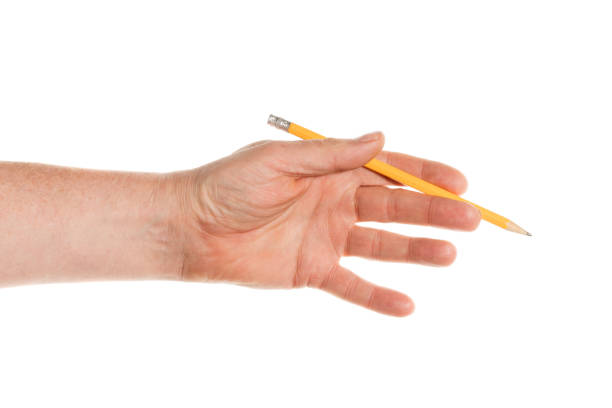 istock hand holding a pencil isolated on white background 1194862450