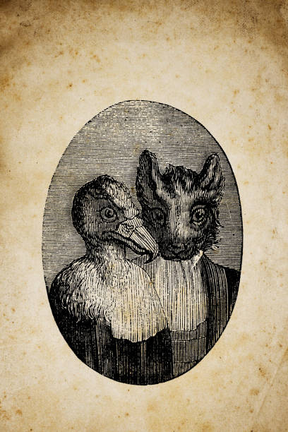 Humanized animals illustrations: Portrait of bird and feline
