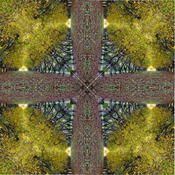 istock Background. abstract. pattern. Abstract kaleidoscope background Altered kaleidoscopic image of forest in autumn that resemble a mandala. Unique kaleidoscope design. digital abstract pattern 1194863562