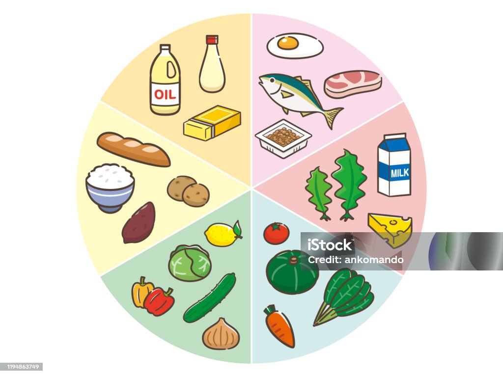6가지 주요 영양소 차트 단백질에 대한 스톡 벡터 아트 및 기타 이미지 - 단백질, 학교 점심시간, 건강한 식생활 - iStock