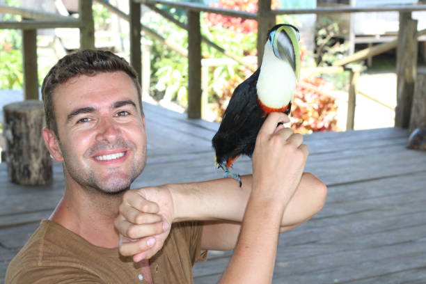 istock Man interacting with a gorgeous toucan bird 1194864394