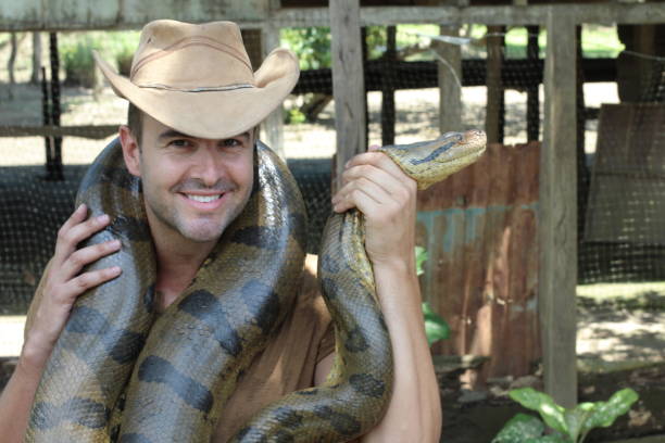 istock Brave man holding giant snake 1194864403