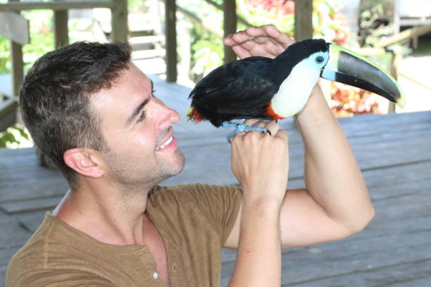istock Man interacting with a gorgeous toucan bird 1194865167