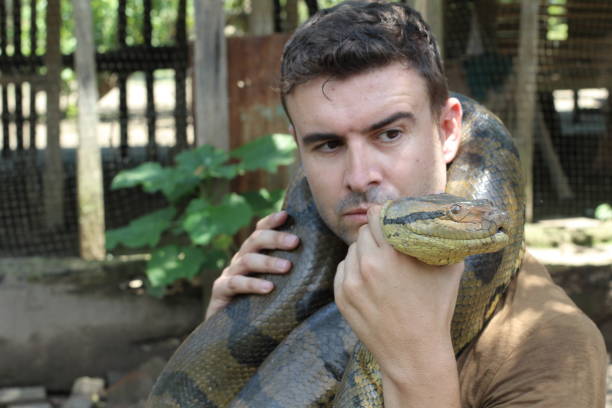istock Exotic man with his gigantic Anaconda 1194865436