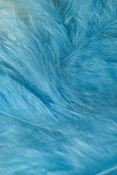 istock Close up Beautiful blue trends bird  feather pattern texture background. Macro photography view. 1194867183