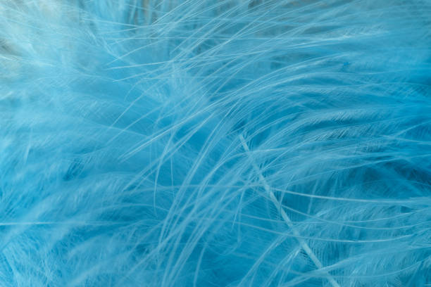 istock Close up Beautiful blue trends bird  feather pattern texture background. Macro photography view. 1194867303
