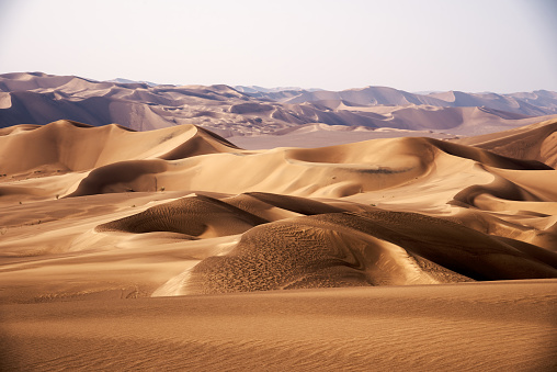 Full frame of sunrise casting shadows over uniquely smooth shaped golden desert sand dunes in Western Australia.