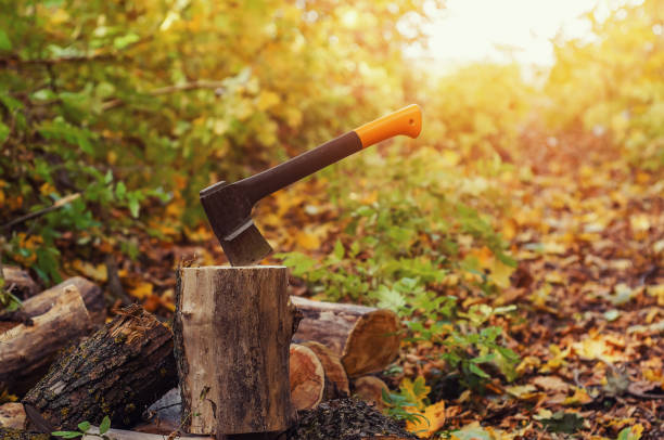 istock Firewood, sharp ax sticking out in a log, nature, forest, autumn, grass sunny day, close-up. 1194870962