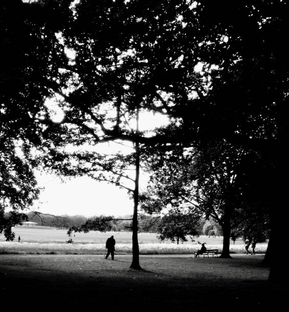 istock Regents Parks, London 1194871411
