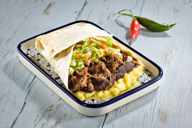 gigantyczny tex mex burrito - appetizer bean beef bowl zdjęcia i obrazy z banku zdjęć