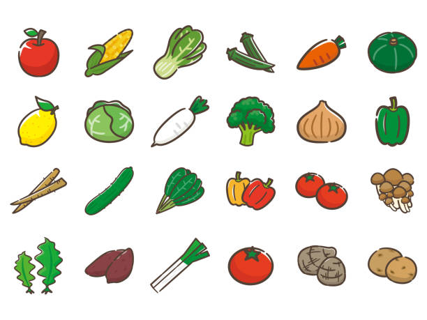 иллюстрация различных овощей и фруктов - apple fruit vector line art stock illustrations
