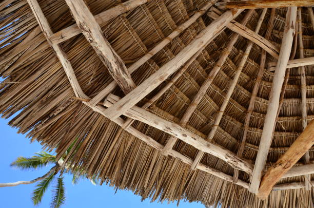 istock The view of the sun umbrella 1194877697