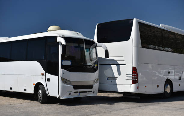 due autobus bianchi - coach bus bus transportation travel foto e immagini stock
