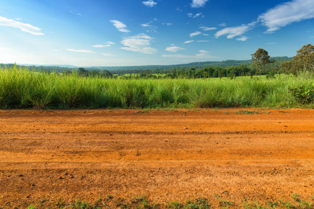istock Dirt roadside view with the meadow 1194883280