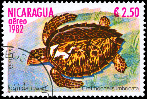 A Stamp printed in CUBA shows the image of a Tortoise with the description \