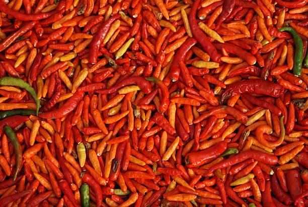 Red pepper stock photo