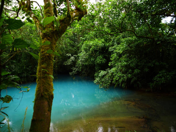 istock Costa Rica - Blue Lagoon 1194895411