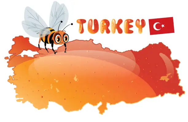 Vector illustration of Turkey, Bee and Honey, Türkiye