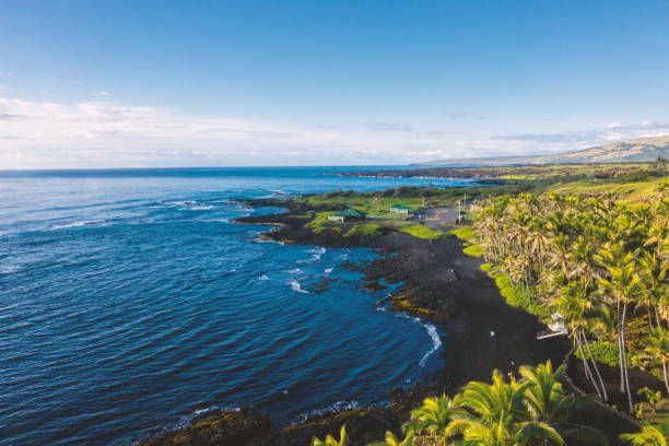istock Drone view of coastline and black sand beaches, Hawaii 1194897242