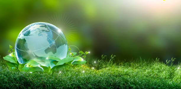 istock Renewable energy concept Earth Day or environment protection Hands protect forests that grow on the ground and help save the world. 1194898132