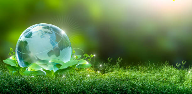 Renewable energy concept Earth Day or environment protection Hands protect forests that grow on the ground and help save the world. Renewable energy concept Earth Day or environment protection Hands protect forests that grow on the ground and help save the world. renewable energy photos stock pictures, royalty-free photos & images