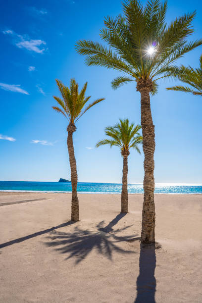 istock Benidorm Poniente Beach in Alicante Mediterranean Spain 1194898208