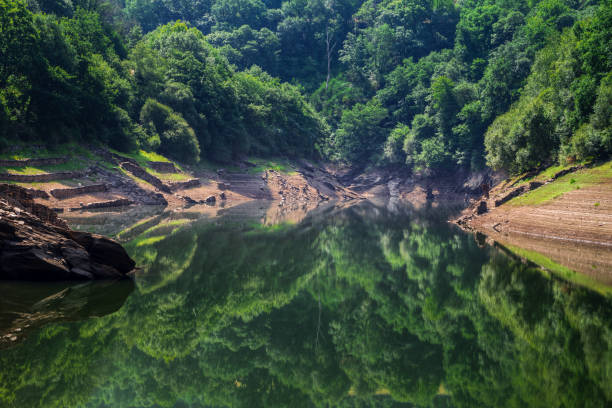 le acque calme riflettono la foresta in un fiume - portomarin foto e immagini stock