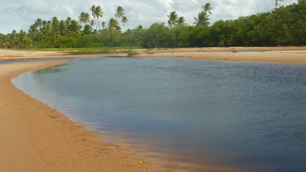 istock river with banks and vegetation 1194899635