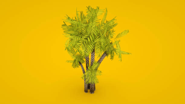 istock 3D rendering of a palm tree isolated on yellow background 1194901227
