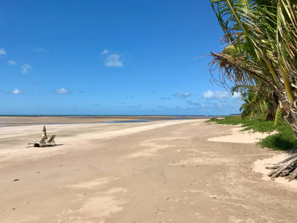 istock Landscape in Maragogi Beach, Brazil 1194905072