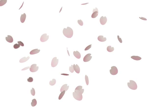踊る花びらのイメージ - 桜吹雪 ストックフォトと画像