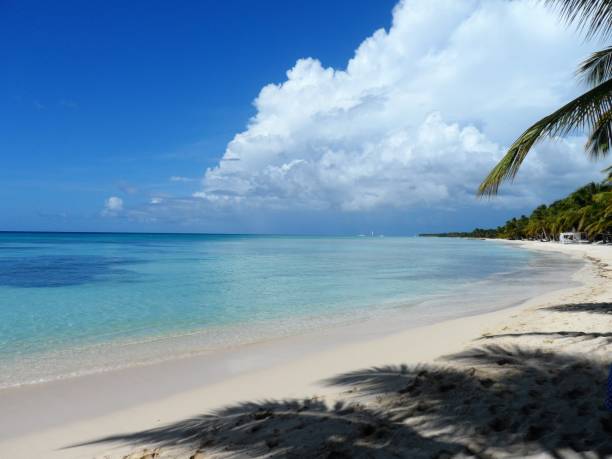 istock Dominican Republic Paradise 1194907213