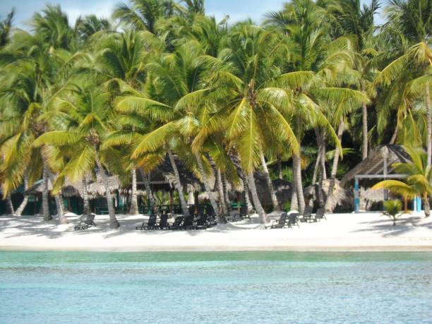istock Dominican Republic Paradise 1194907223