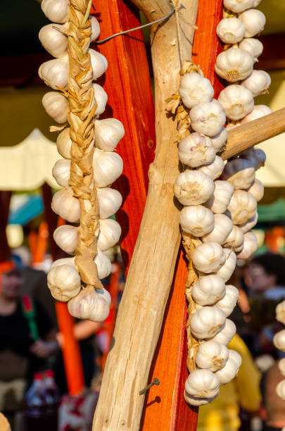 racimos de ajo colgando de una cuerda para la venta en el mercado de alimentos. - garlic hanging string vegetable fotografías e imágenes de stock