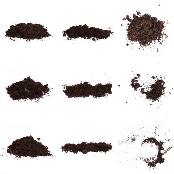 istock Patch of soil or mud isolated on white background 1194908218