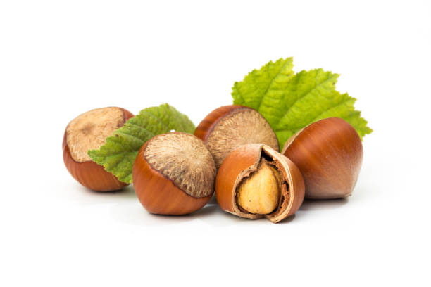 istock Hazelnuts with leaves isolated on a white background 1194908449