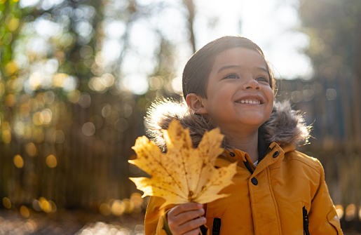 Beautiful 5 year old boy at the park on an autumn day holding a leaf smiling very happy