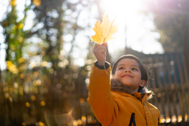 istock Cute little boy exploring on an autumn day looking at a leaf 1194910097