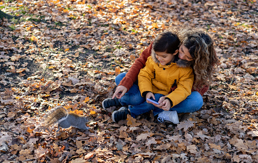 Loving mother and son sitting on floor at the park holding smartphone and looking at a beautiful squirrel passing by - Lifestyles